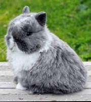 /album/algunos-de-nuestros-reproductores/mami-bowie-4-jpg2/